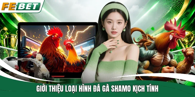 Giới thiệu loại hình đá gà Shamo kịch tính