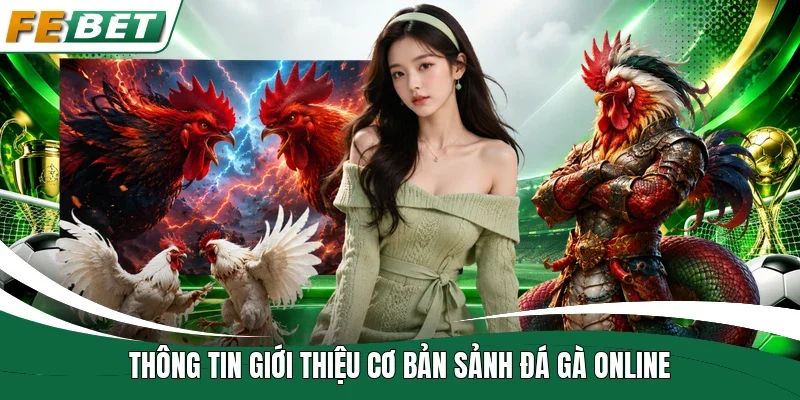 Đá Gà Fe Bet - Sảnh Cược Chọi Kê Online Đẳng Cấp Quốc Tế 1 Thông tin giới thiệu cơ bản sảnh đá gà online
