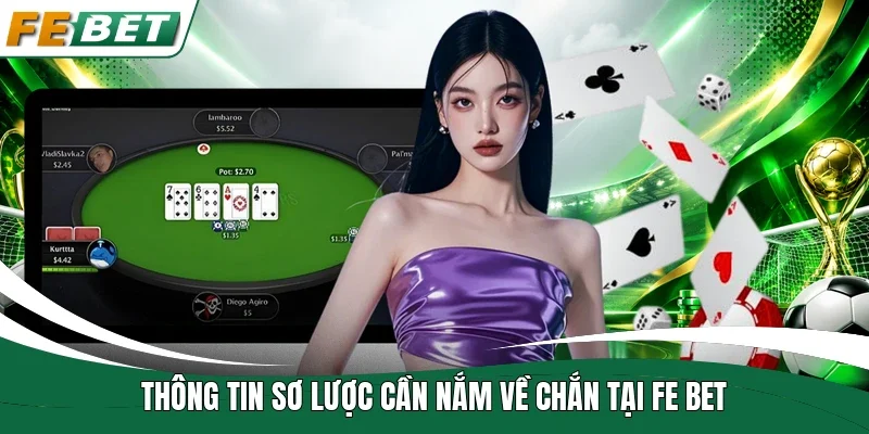 Thông tin sơ lược cần nắm về chắn tại Fe bet 